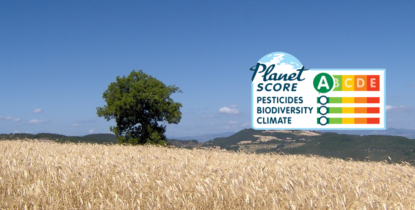 Organic Balsamic Glaze IGP