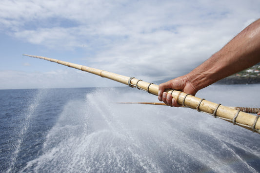 Sustainable Seas: Pole and Line Fishing vs Industrial Fishing