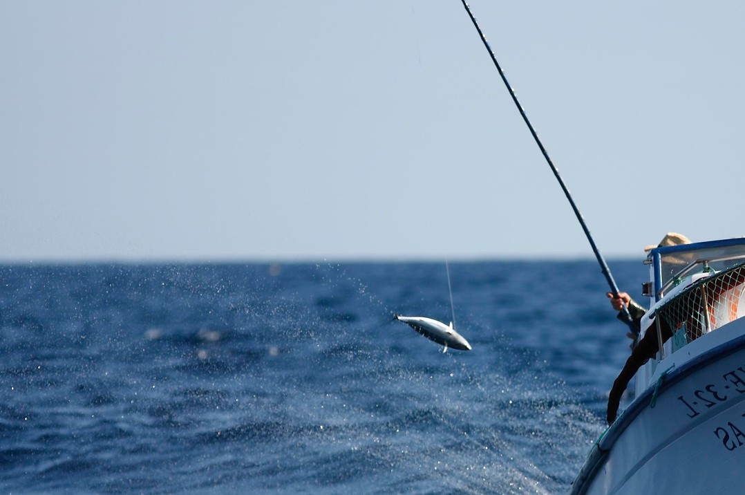 The Fish4Ever Unique Quality Charter