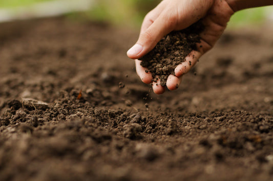 Cultivating Sustainability: The Crucial Role of Organic Farming in Soil Health and Environmental Conservation