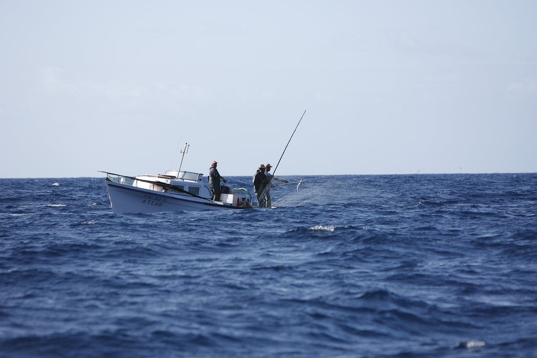 Small Boats First and the "who, what, where, and how" of fishing