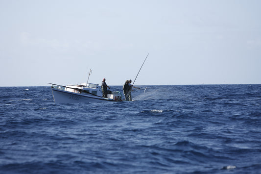 Small Boats First and the "who, what, where, and how" of fishing