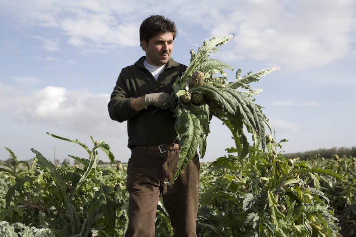 Why choose organic?