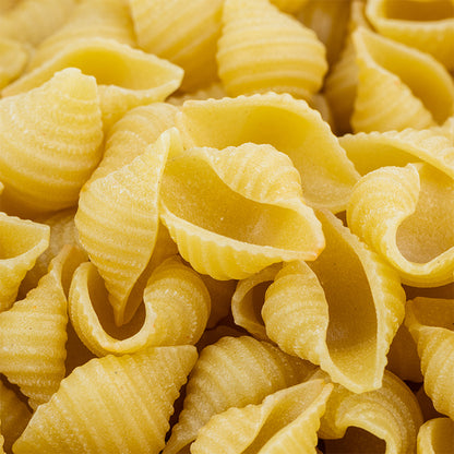 Organic Conchiglie Pasta