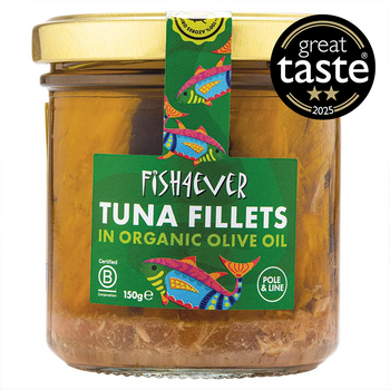 Skipjack Tuna Fillets in oil
